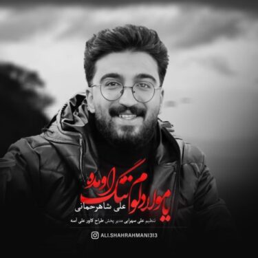دانلود آهنگ جدید علی شاهرحمانی یا مولا دلوم تنگ اومده